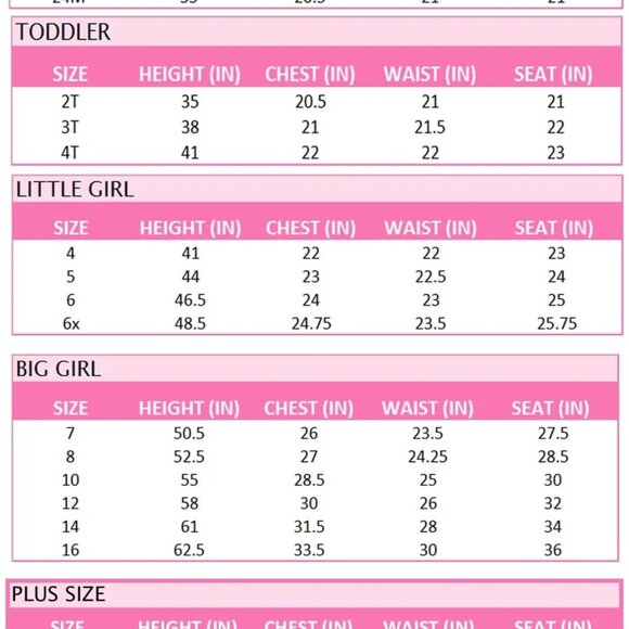 Bonnie Jean Girls 2T-6X Embroidered Lace Flower Waist Special Occasion … - Picture 4 of 4